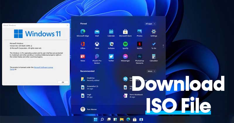 Download-Windows-11-ISO