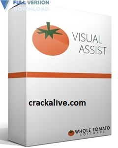 Visual Assist x10.9.2440.0 crack